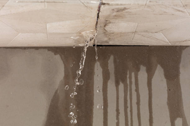 Professional Structural Drying technician working in Pompton Plains, NJ